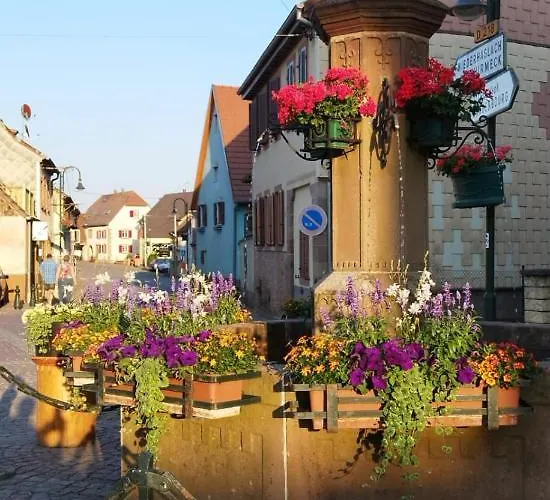 La Hasel Апартаменты Oberhaslach